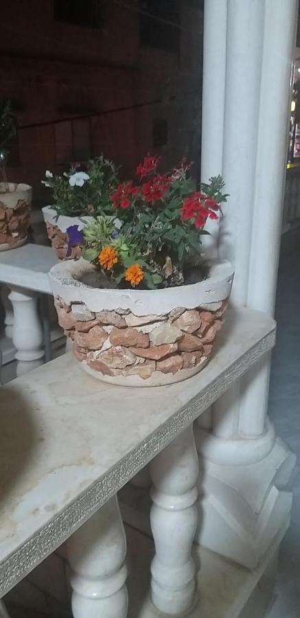 Zohara Villa Nahf Bagian luar foto